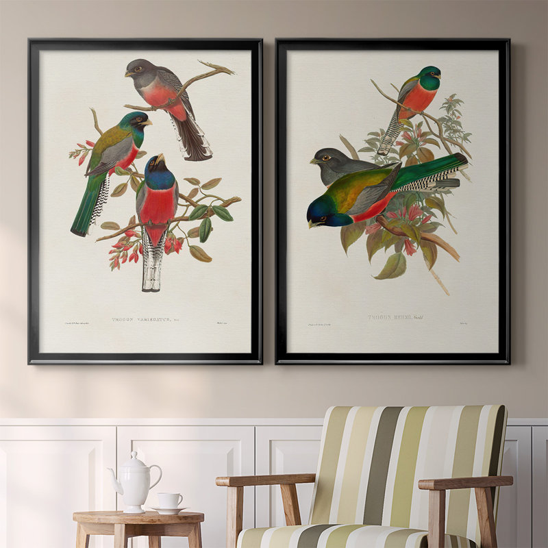 " Elegant Trogons IX " 2 - Pieces Painting Print, Black Framed, 30.5" H x 45" W x 2.5" D