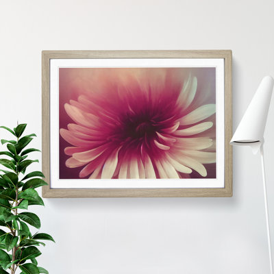 Cute Chrysanthemum Flower Vol.3 - Framed Print