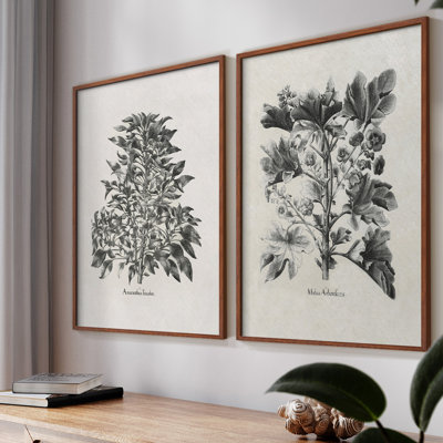 Vintage  Floral LXVI  -Framed Giclee Print - Set of 2