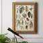 " Seashell Display "-2116054320