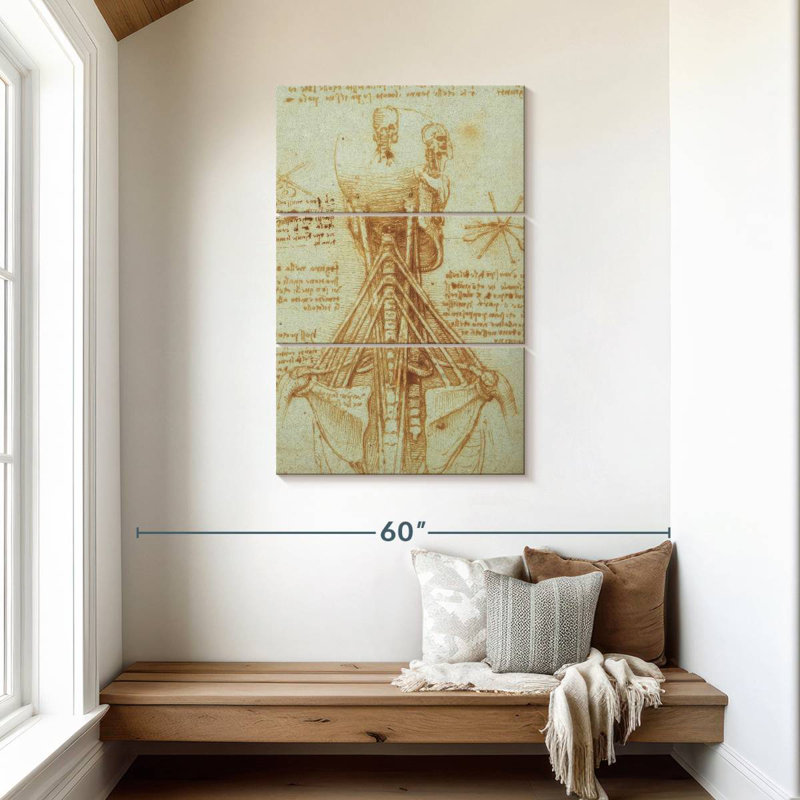 Anatomie du cou Keiri, H 45 po x l 28 po