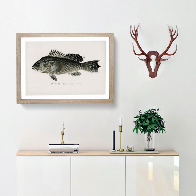 Sea Bass Fish by Sherman F. Denton - Framed Print, 36cm H x 48cm W x 2cm D, Oak Framed