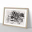 Zebra Vol.1 Watercolour - Framed Print-62775999-62776001