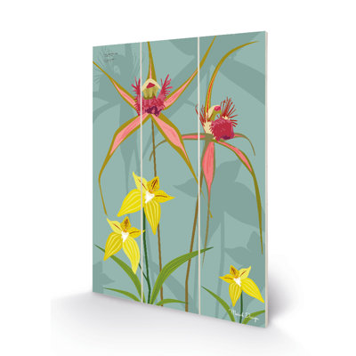 Spider Orchid 1 Piece Wall Art