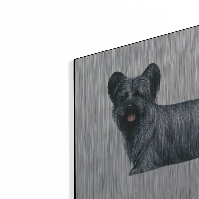 «Sky Terrier» par Harro Maass, H 12 po x l 16 po
