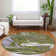  Machine Washable Indoor/Outdoor Chayden ACN1061 Rug