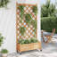 Planter Box-1960360795-1960360792