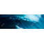 «Unleashed Sea» - imprimé mat pour la salle de bain-1162817683-1162817687