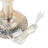 Wedgeworth 24" Champagne Jeweled Bedside Lamp