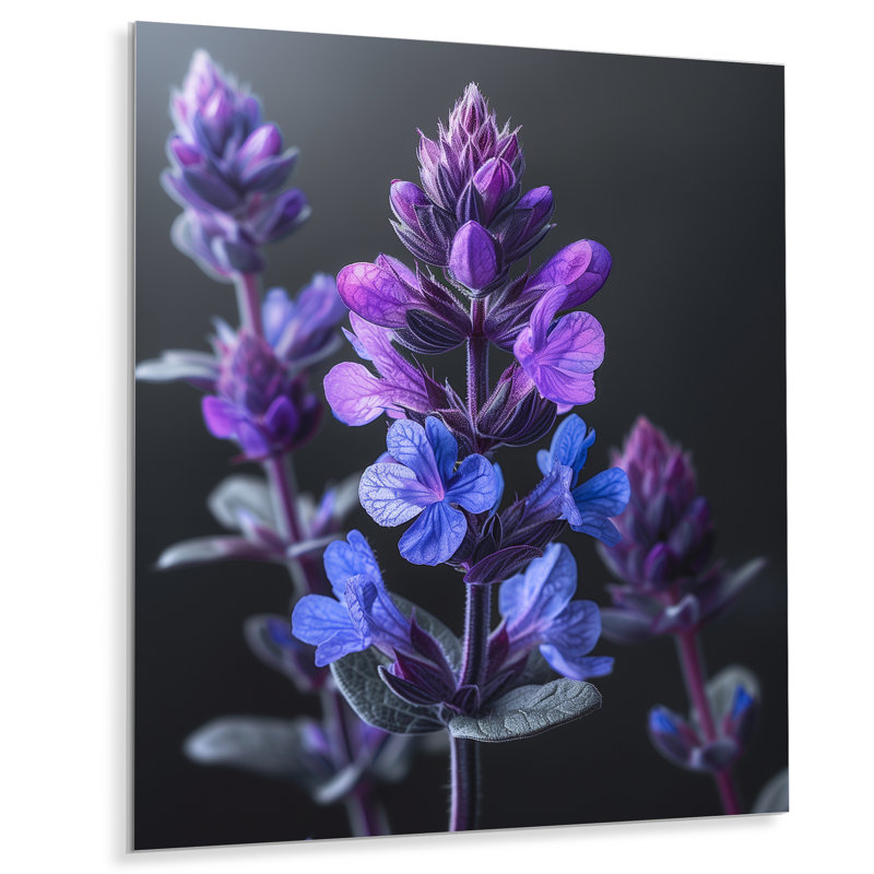 Mauve bleu, lilas, Natures Nuance - lilas, art mural, Métal métal, H 44 po x l 34 po x P 1,5 po