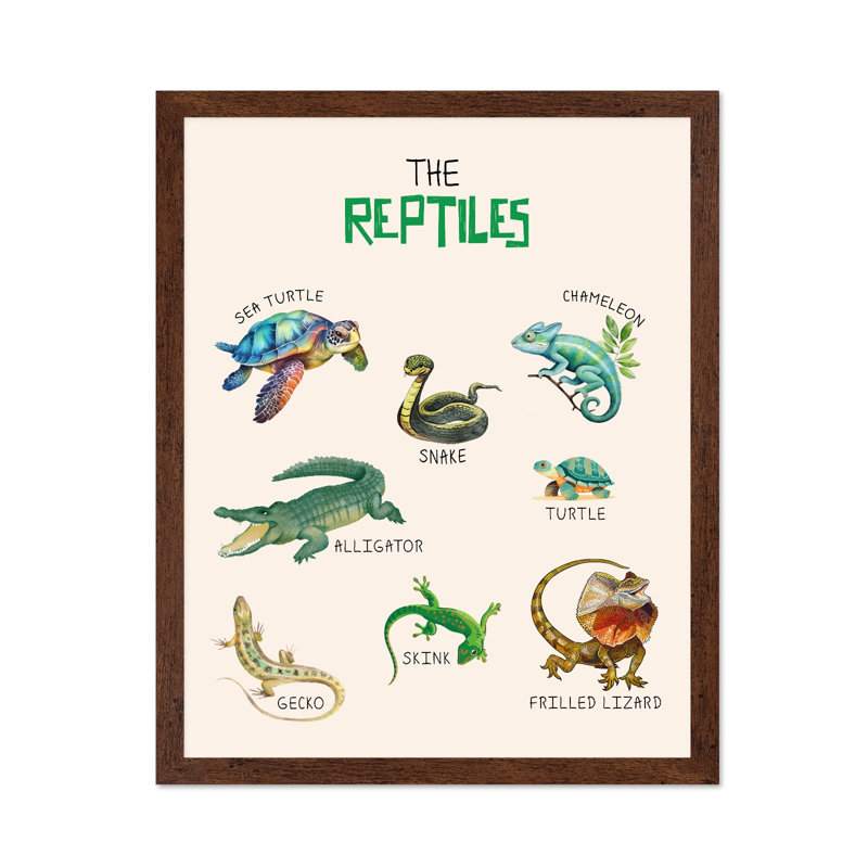 Les reptiles, Poster, 18"H x 24"W, Brown Framed
