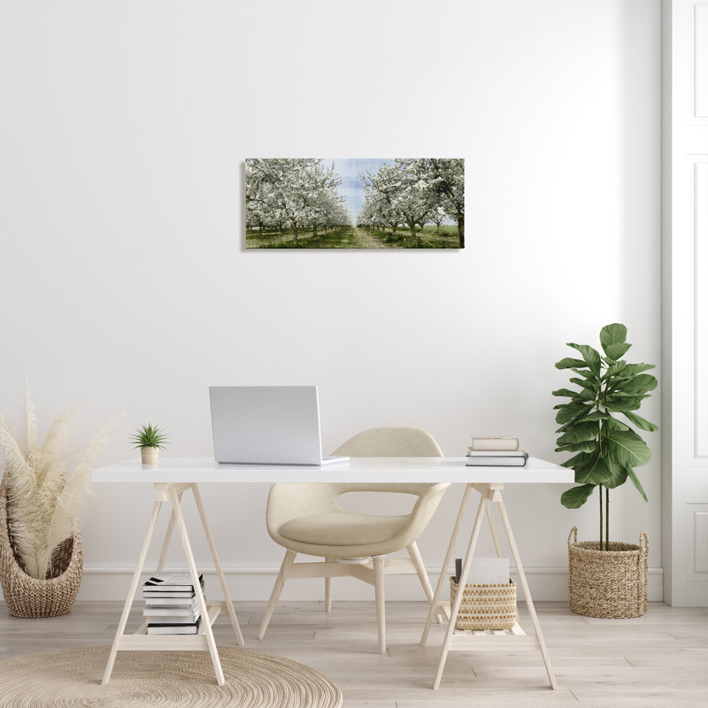 «Blooming White Flower Buds Trees Orchard Meadow» par Kim Allen - photographie, H 13 po x l 30 po