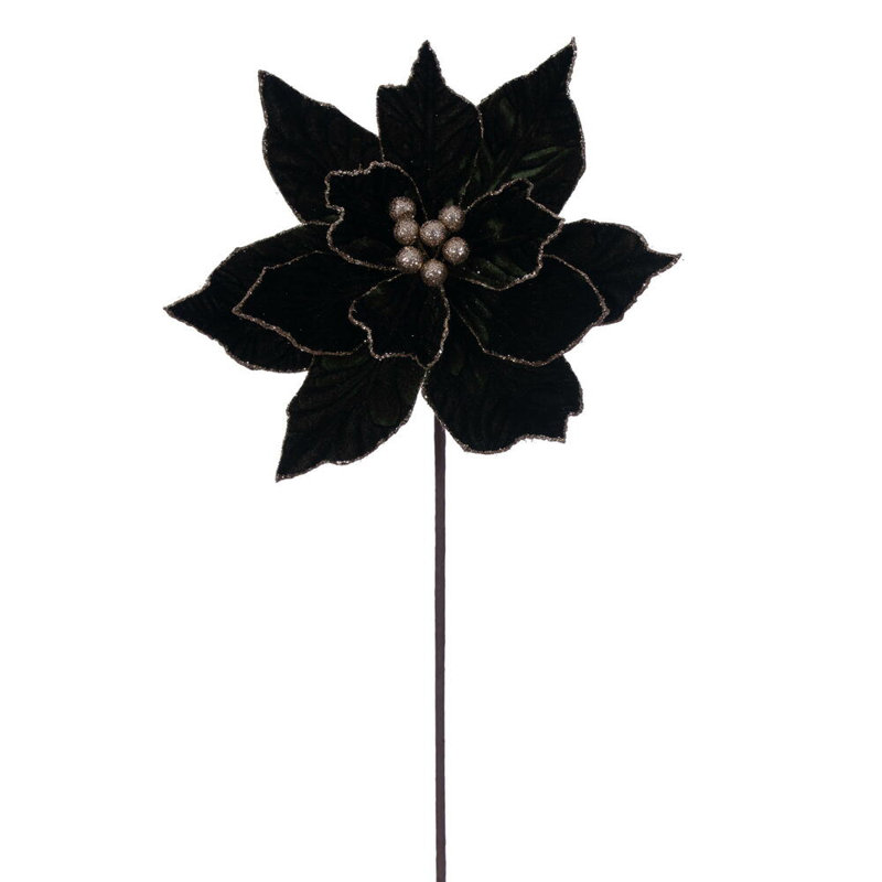 Tiges de poinsettias de Cleorand, Vert