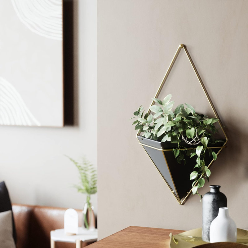 Trigg Hanging Planter Vase Wall Decor, Pot And Container For Succulents, Cactus, Faux Plants, And More, Large, Black/Brass, 1