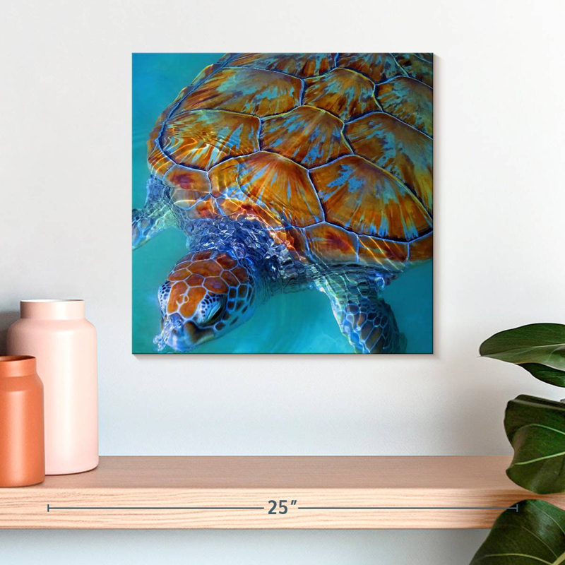 Brampt Cayman Sea Turtle