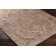 Westbrook Machine Washable Oriental Light Brown/Orange Area Rug