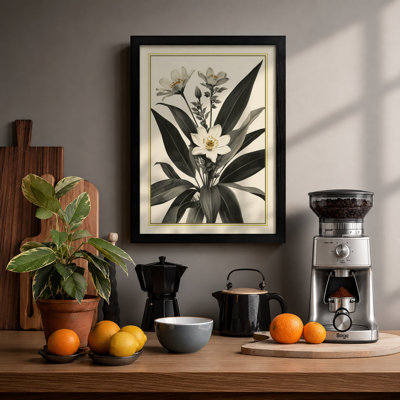 Flowering Plant Study Botanical - Framed Print
