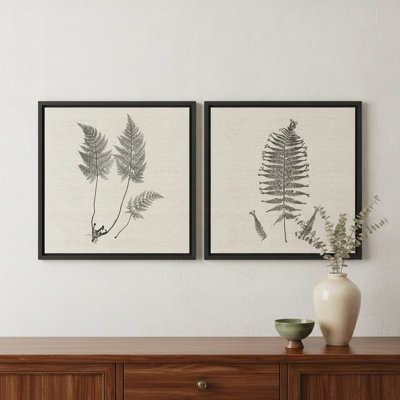 Ensemble de deux fougères modernes, art mural encadré brun
