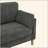 Modern Minimalist 2-Seater Sofa
