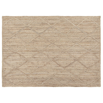 Shuler Ikat Hand Woven Area Rug