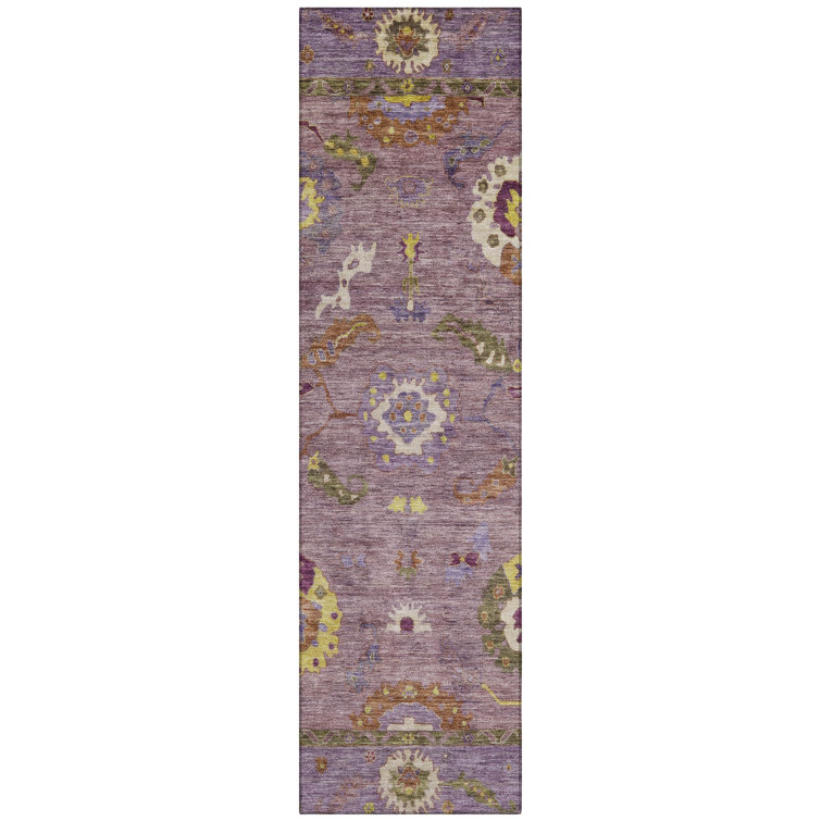 Machine Washable Indoor/Outdoor Kaczor ACN2229 Global Rug