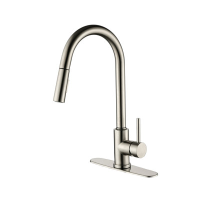 Kitchen Faucet With Pull Down Sprayer
