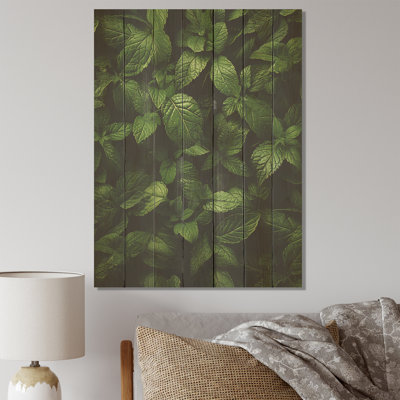 «Herbs Peppermint Breeze II» - Herbes florales sur bois