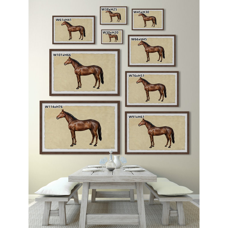 Shiny Coat - Single Picture Frame Painting, 20cm H x 30cm W x 3.81cm D