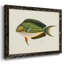«Tropical Fish Collection I», reproduction sur toile-96286215-96286218