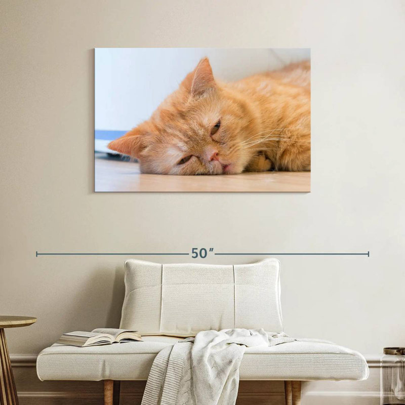 Crowle Sleeping Cat