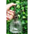 Bridjette Plant Mister