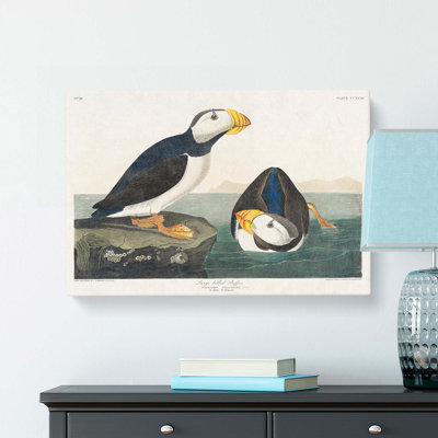 Atlantic Puffins - Wrapped Canvas Painting