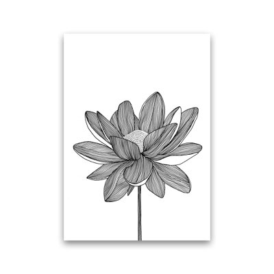 Lotus by Carissa Tanton - Print