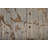 Rhun Abstract Indoor Rug-1387486628