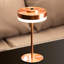 Liana Metal Table Lamp-875526019