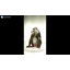 Mandrill assis