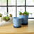 Saucer Planters Ceramic Scalloped Edge Design Modern Decorative Versatile Round Shape Durable Construction Set Of 2