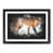 Black Framed selected