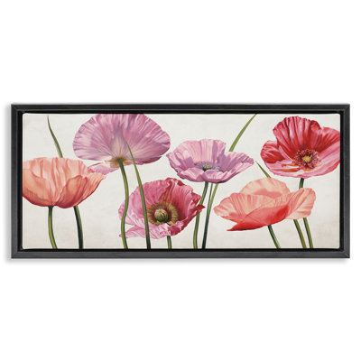 Mélange de coquelicots aux pétales éclatants