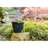 Pot Planter