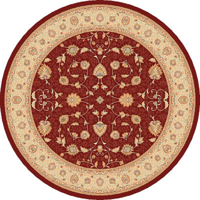 Braided Oriental Area Rug