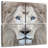 Brampt Exotic Lion-109036949