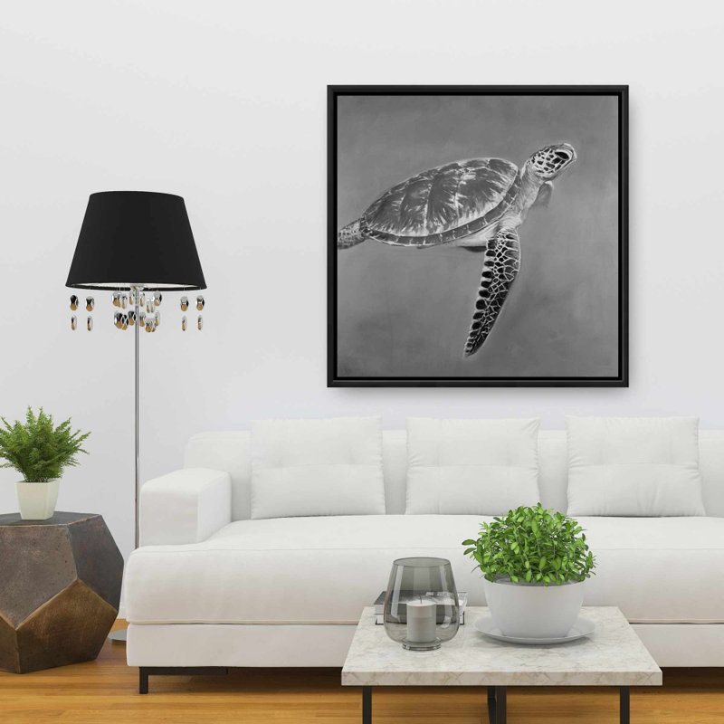 " Grayscale Aquatic Turtle "