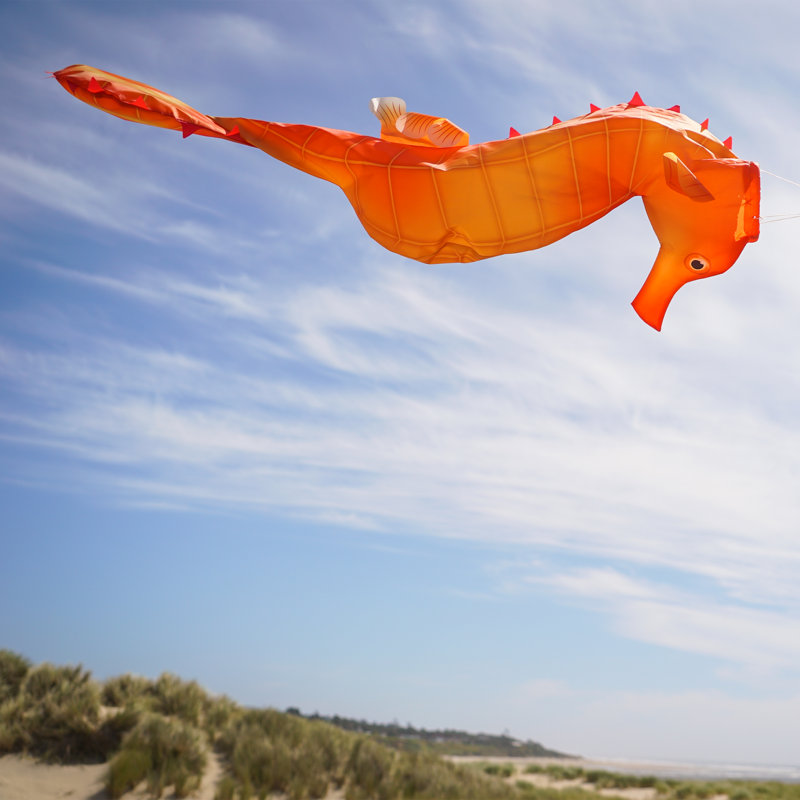 40-Inch Orange Polyester Seahorse 3D Windsock