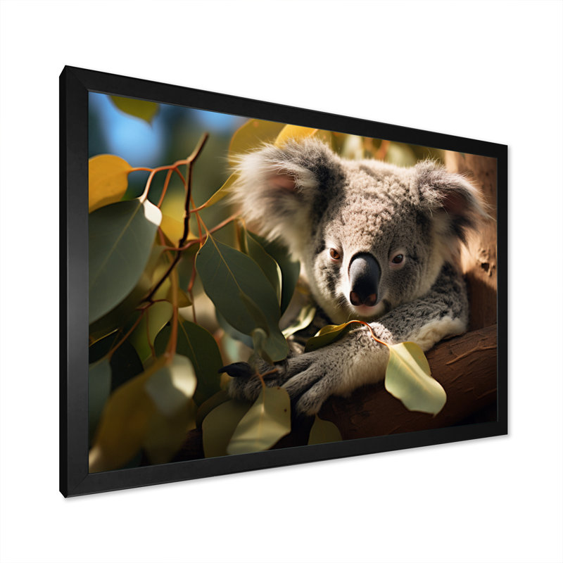Australie, Koala Haven II, reproduction d'art sur toile, Cadre photo noir, H 34 po x l 44 po x P 1,5 po