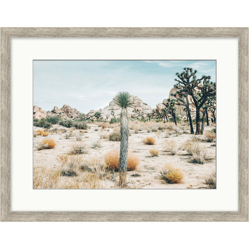 View Of Joshua Tree Print, Silver Framed