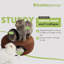 Lit pour chat Peekaboo-1091235109-1091235110