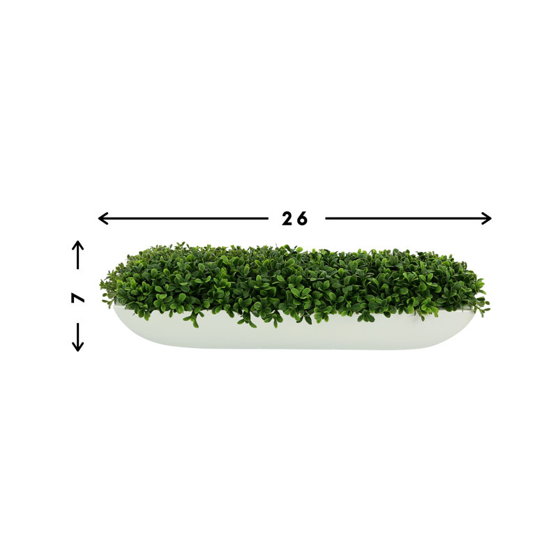 UV Rated Outdoor Boxwood Arrangement, White, 7" H x 26" W x 11" D
