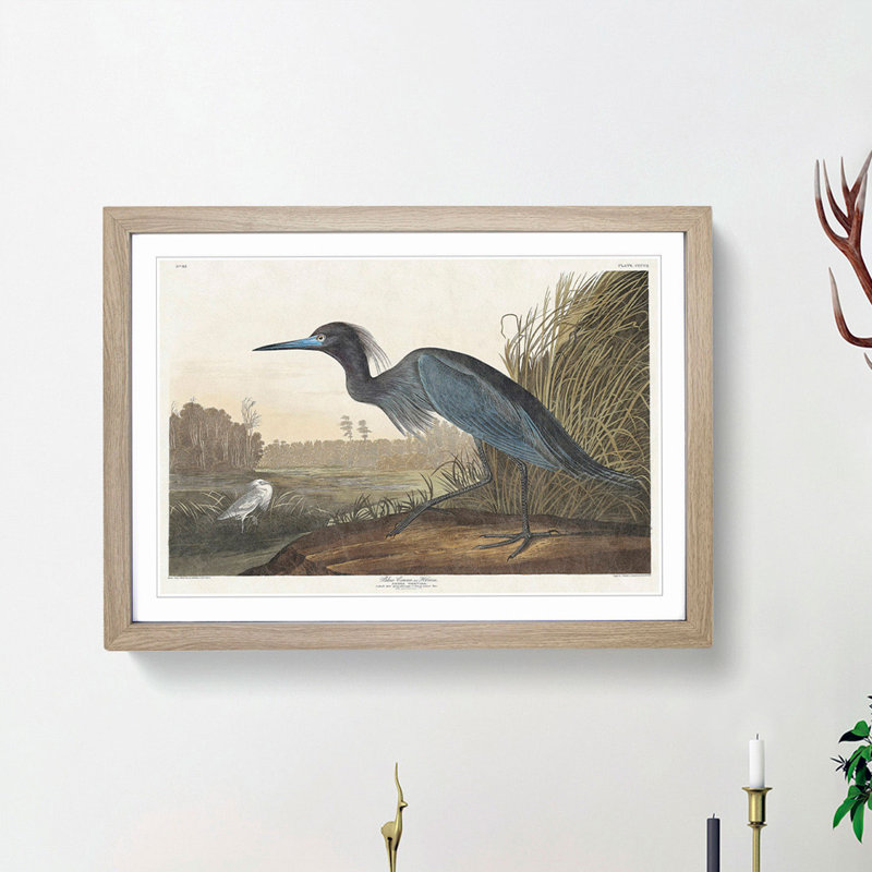 Blue Heron by John James Audubon - Picture Frame Art Print, Oak Framed, 27cm H x 36cm W x 2cm D