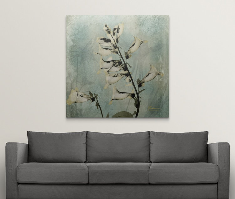« foxglove iv x-ray » par albert koetsier,, reproduction de photo, H 35 po x l 35 po x P 1,5 po, Toile